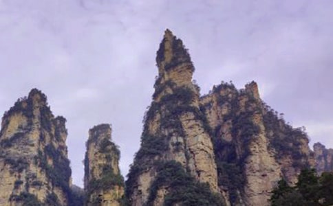 �����ď��ҽ�����(�R��15ƪ)