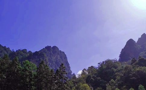 �����ď��ҽ烞(y��u)������7ƪ(���A)