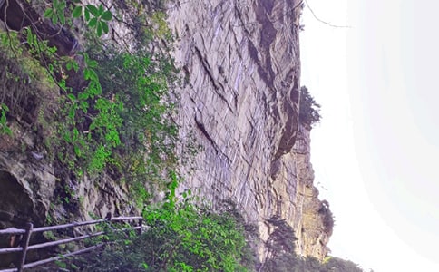 迷人的張家界作文