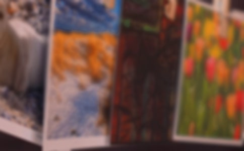 ��ƬС�W������