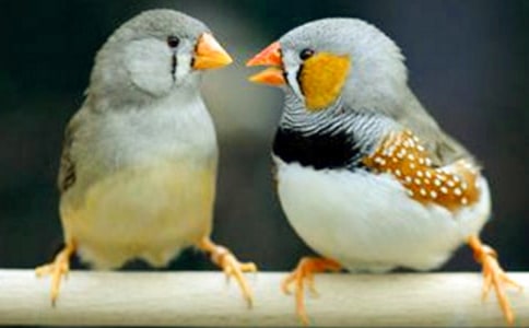 С�W�Z�ġ������B���̰�