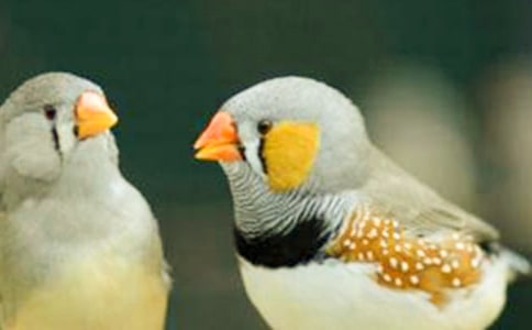 ���������꼉�σ��Z�ĵ����n�������B���̰�