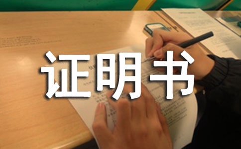 �����C����