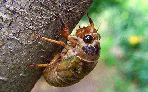 �����]��׽֪������