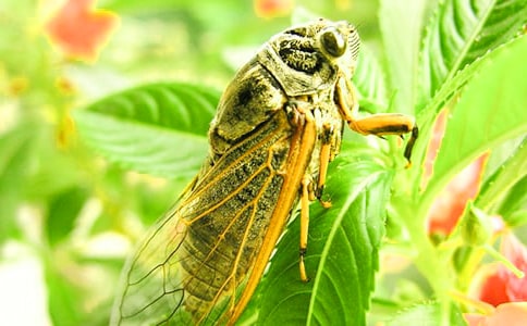 ֪�˵�����