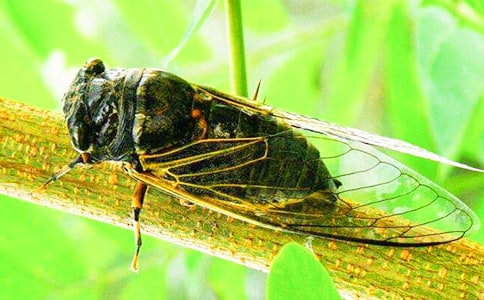 ֪�ˌW(xu��)�w����