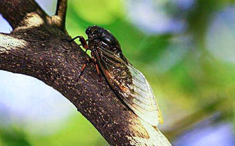 ֪�˺�����