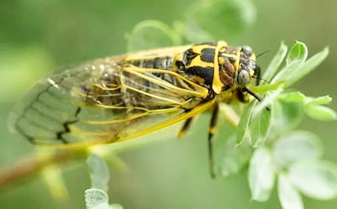 ֪�ˌW(xu��)�w����16ƪ