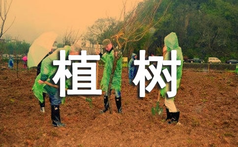 ���xС�W(xu��)��ֲ�������\��7ƪ