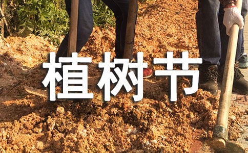 С�W(xu��)ֲ�九(ji��)���(d��ng)���Y(ji��)���R��15ƪ��