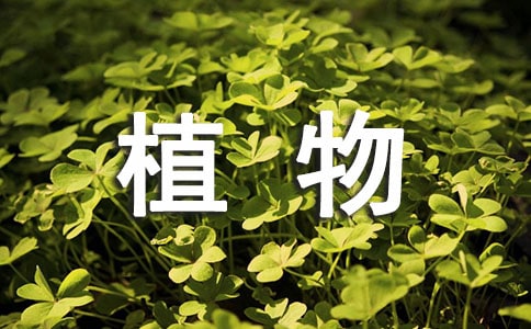 《普通植物病理學》理論和實踐教學的創(chuàng)新