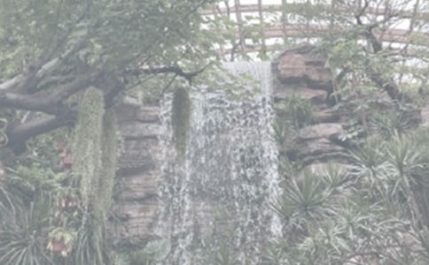 有關(guān)植物園日記錦集9篇