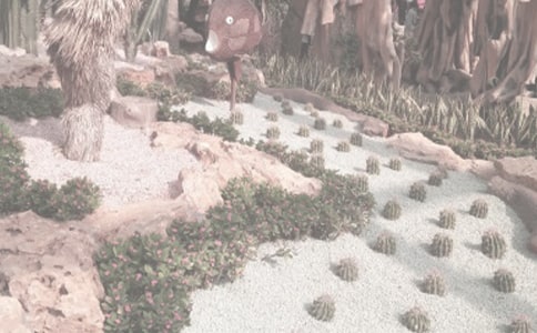 ����(sh��)�á�ֲ��@��ӛ��ƪ