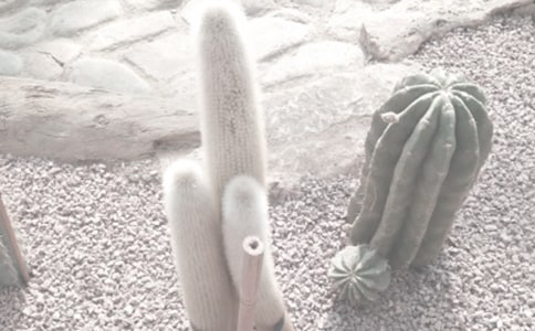 ���fʯֲ��@���ģ�ͨ��24ƪ��