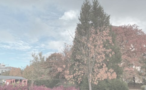 關(guān)于植物園日記范文集合8篇