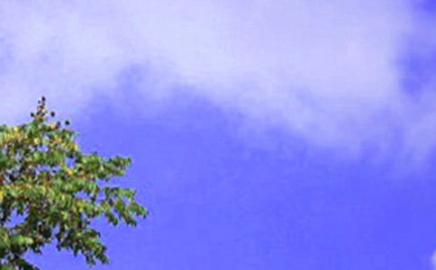 �ЌW��������У���Z��