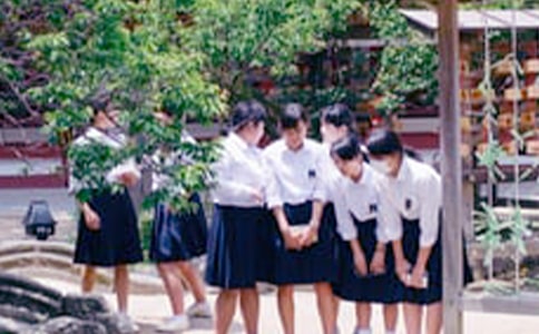 ͸ҕ�ЌW(xu��)���n���Ļ��F(xi��n)��