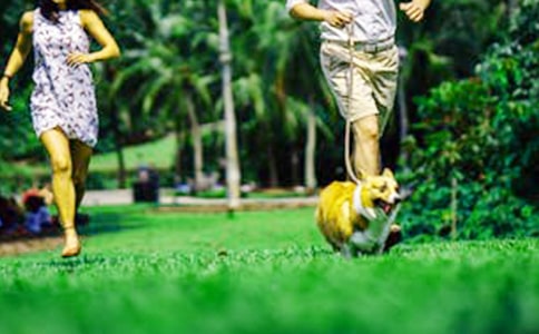 ��ĩ�W(xu��)������