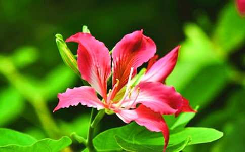 �P�����G��������