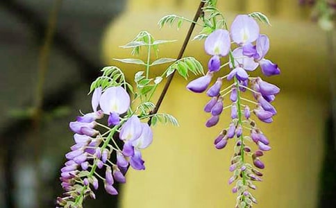 �茑���ٻ��ľ���10ƪ