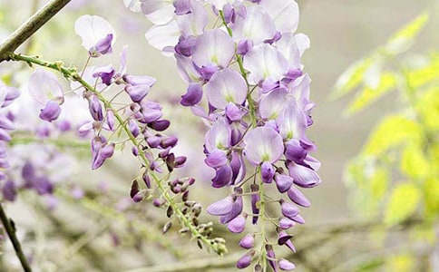 ���ٻ����ģ����x30ƪ��