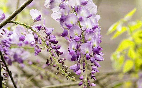 С�����g(sh��)�L���̰������ٻ�