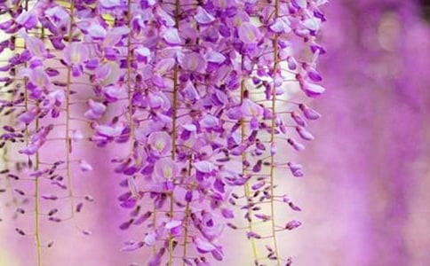 С�����g(sh��)��ָ���̰������ٻ�