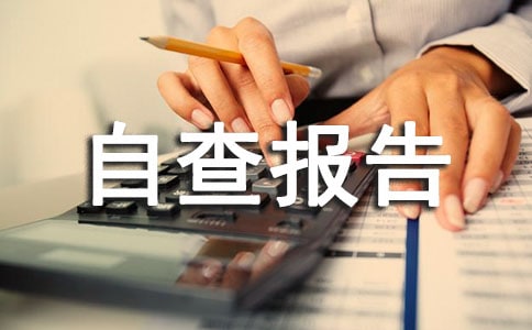 部門自檢自查報告(通用16篇)