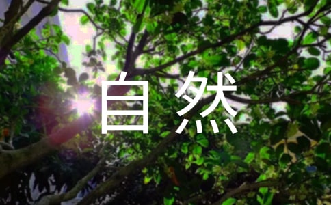 形容大自然的句子40句