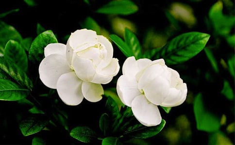 �P������������С�W�����ģ����x3ƪ��