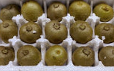 �J���Ҡ�������