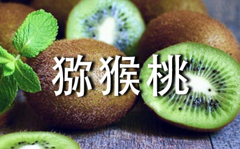 獼猴桃作文(精選30篇)