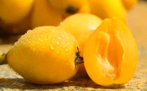 (必備)摘枇杷作文15篇