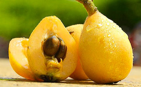 ���᡿ժ��������