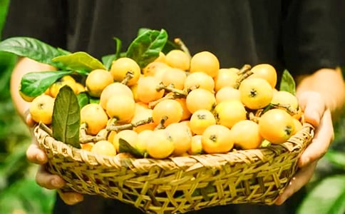 ժ��������