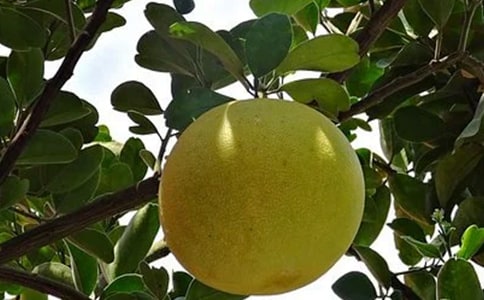 ���ӵ�����3ƪ����(sh��)�á�