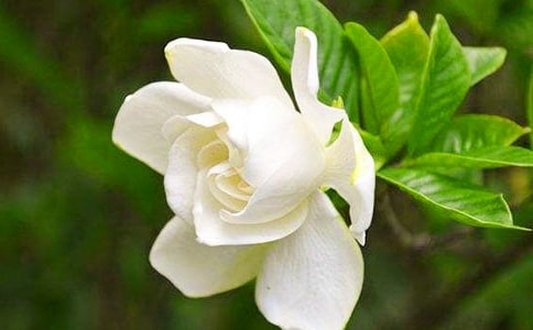 �d�ӻ��ă�(y��u)������