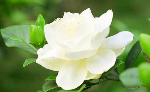 �P�ڽo�d�ӻ������