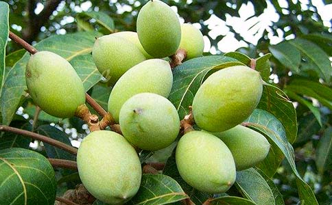 ��Ҳ��^(gu��)һö���ϙ�����(��(y��u)�x)