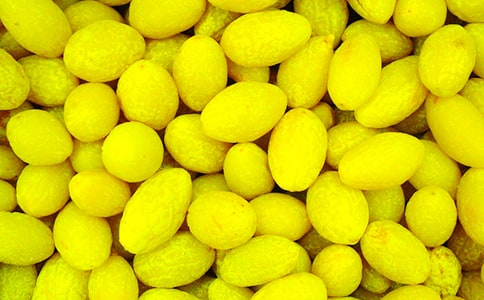 ���ϙ�׃ɫ֮��