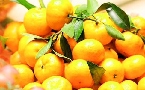 (通用)橘子優(yōu)秀作文15篇