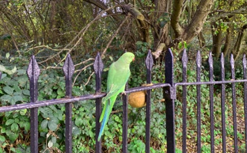 �����]���W�^��(y��u)������