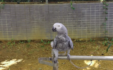 ����(j��ng)�䣩�W�^��(y��u)������