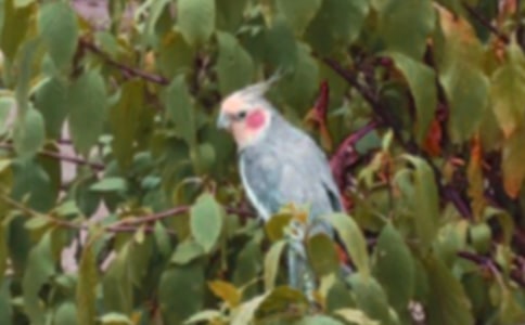 �W�^��(y��u)�����ļ���[15ƪ]