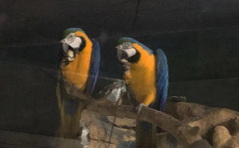 �ҵČ�ؐ�����W�^����