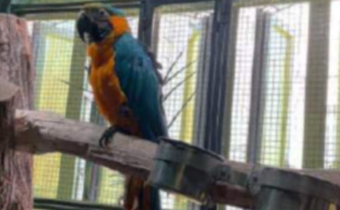 ĵ���W�^��(y��u)������