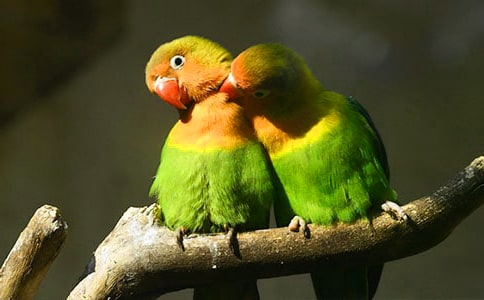 С�W�^��(y��u)������