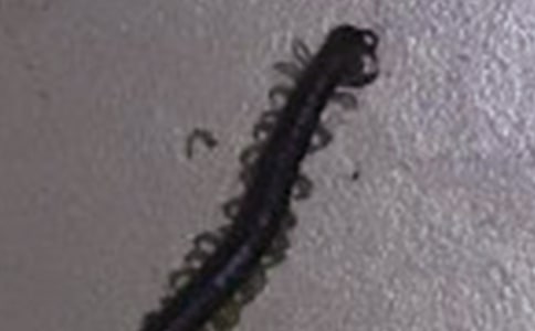 ��򼸂(j��ng)�ߴ���w���̰�