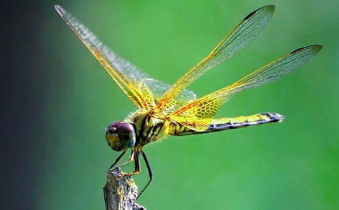 �а����g(sh��)�����ѡ��̰�