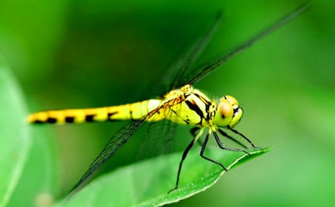 ���ѵ�����